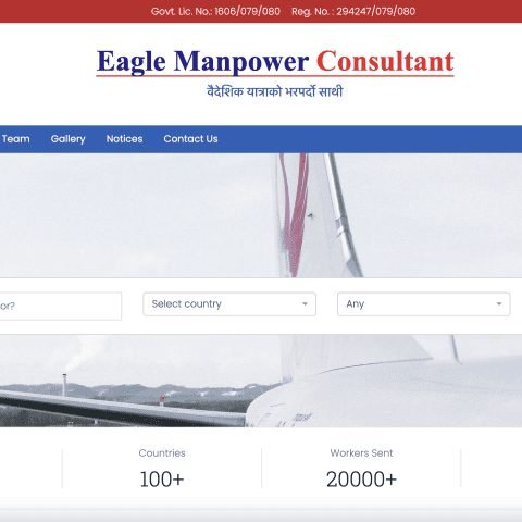 Eagle Manpower website